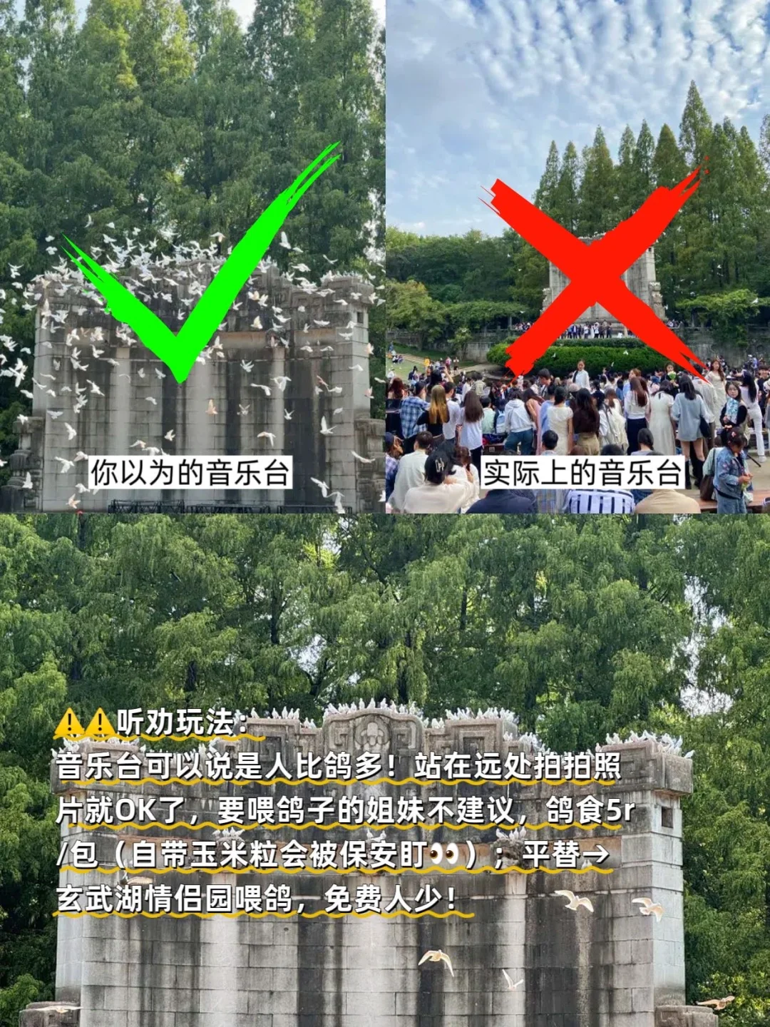你以为的南京vs实际上的南京，没来的听劝！！