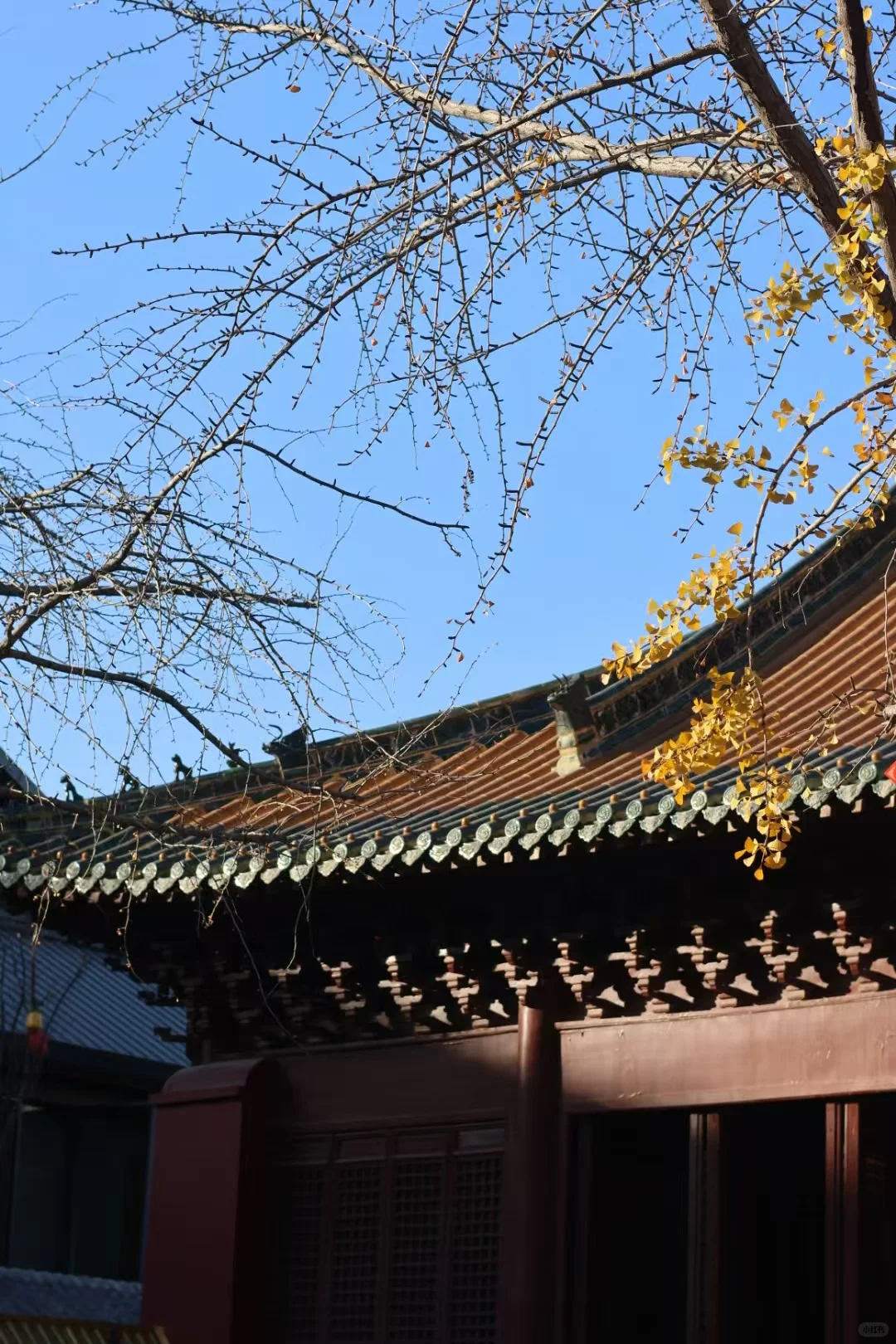 把徐州拍成了北京胡同的感觉