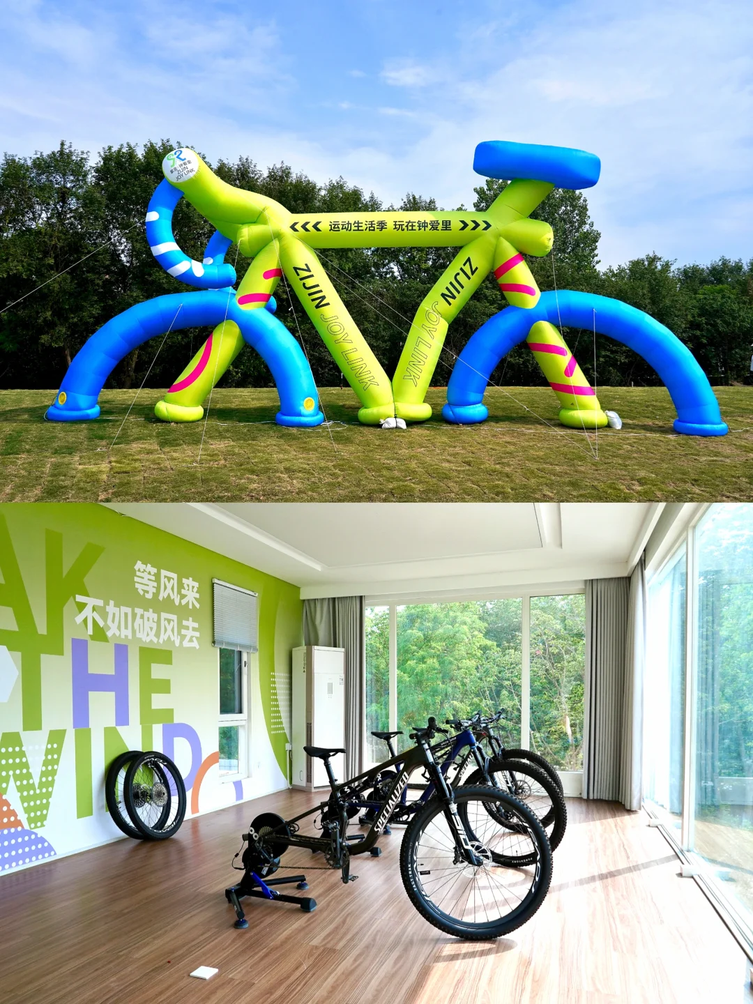 南京｜清晨的梧桐大道真的美疯…