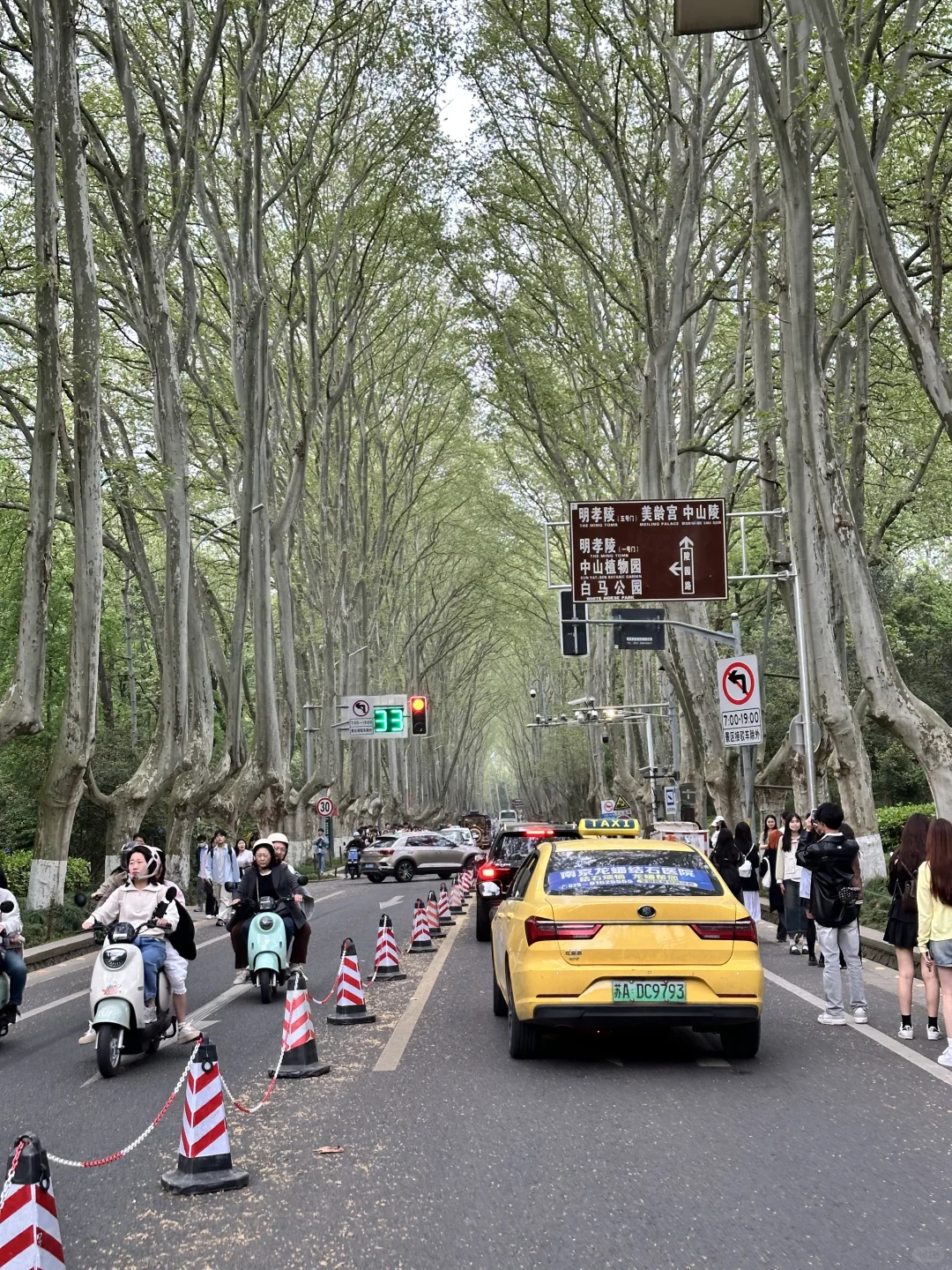 10张南京街道live图素材喜欢的宝宝免费拿