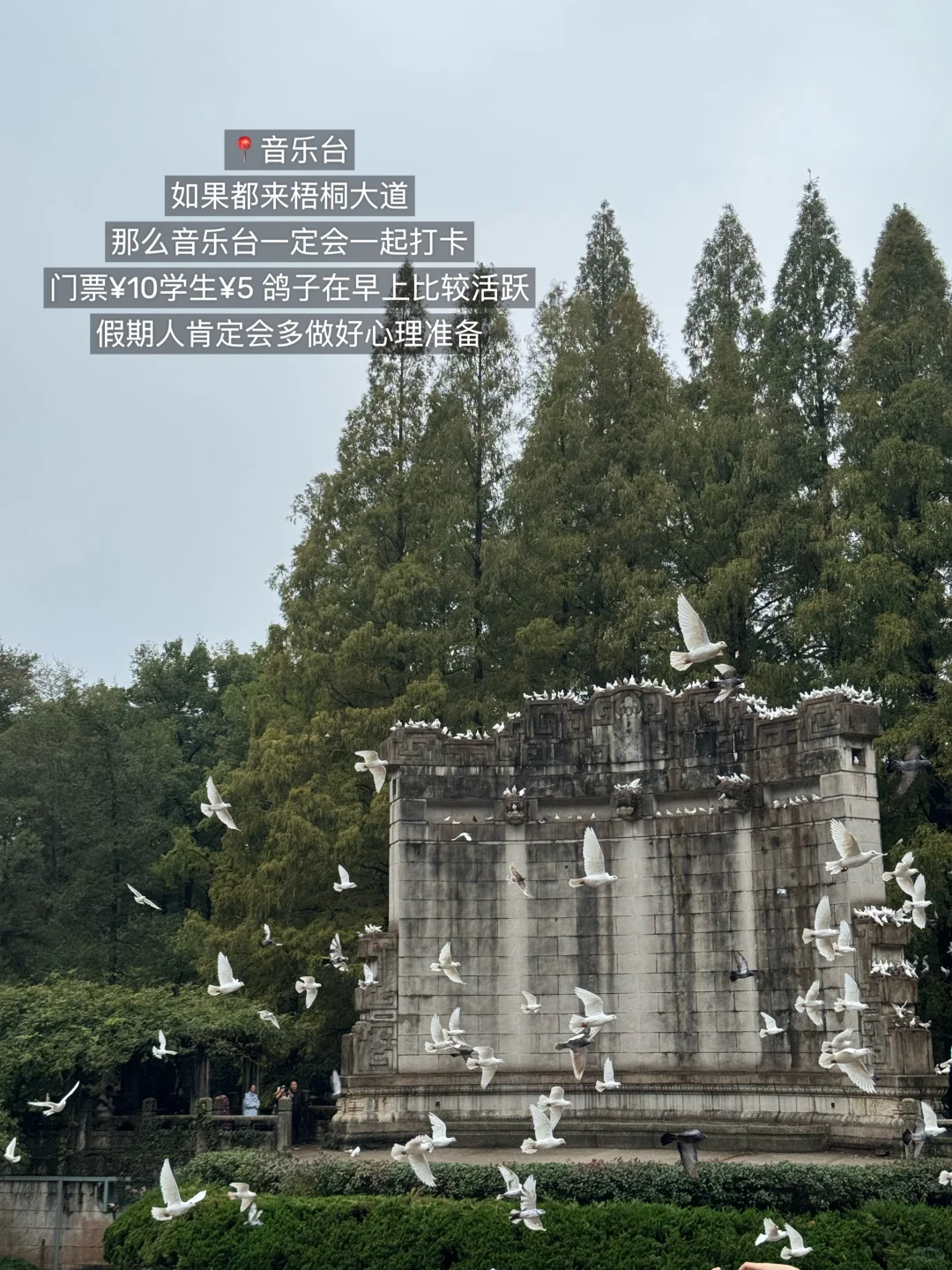 十一🍃南京适合Citywalk和eat的两日游路线！