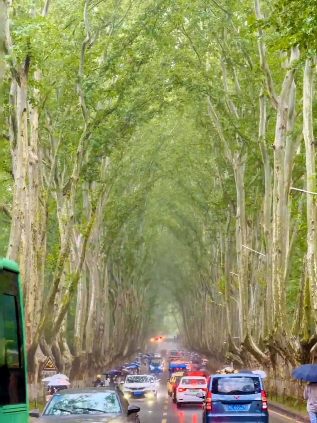 9.2📍南京现状😫计划去的宝子们听劝啦