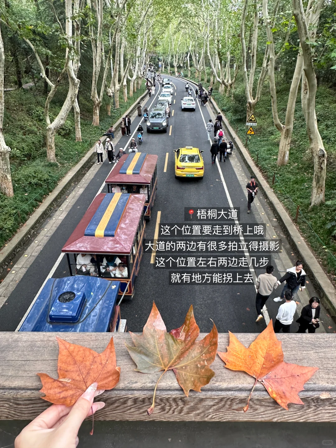 十一🍃南京适合Citywalk和eat的两日游路线！