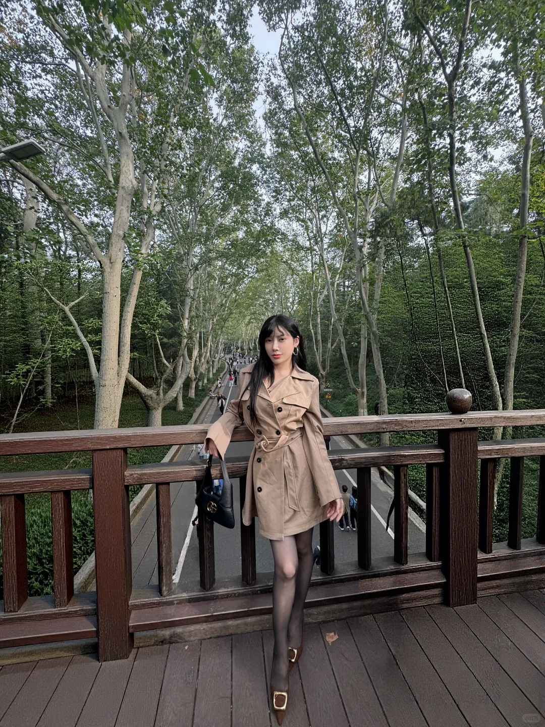 南京梧桐大道 人真美