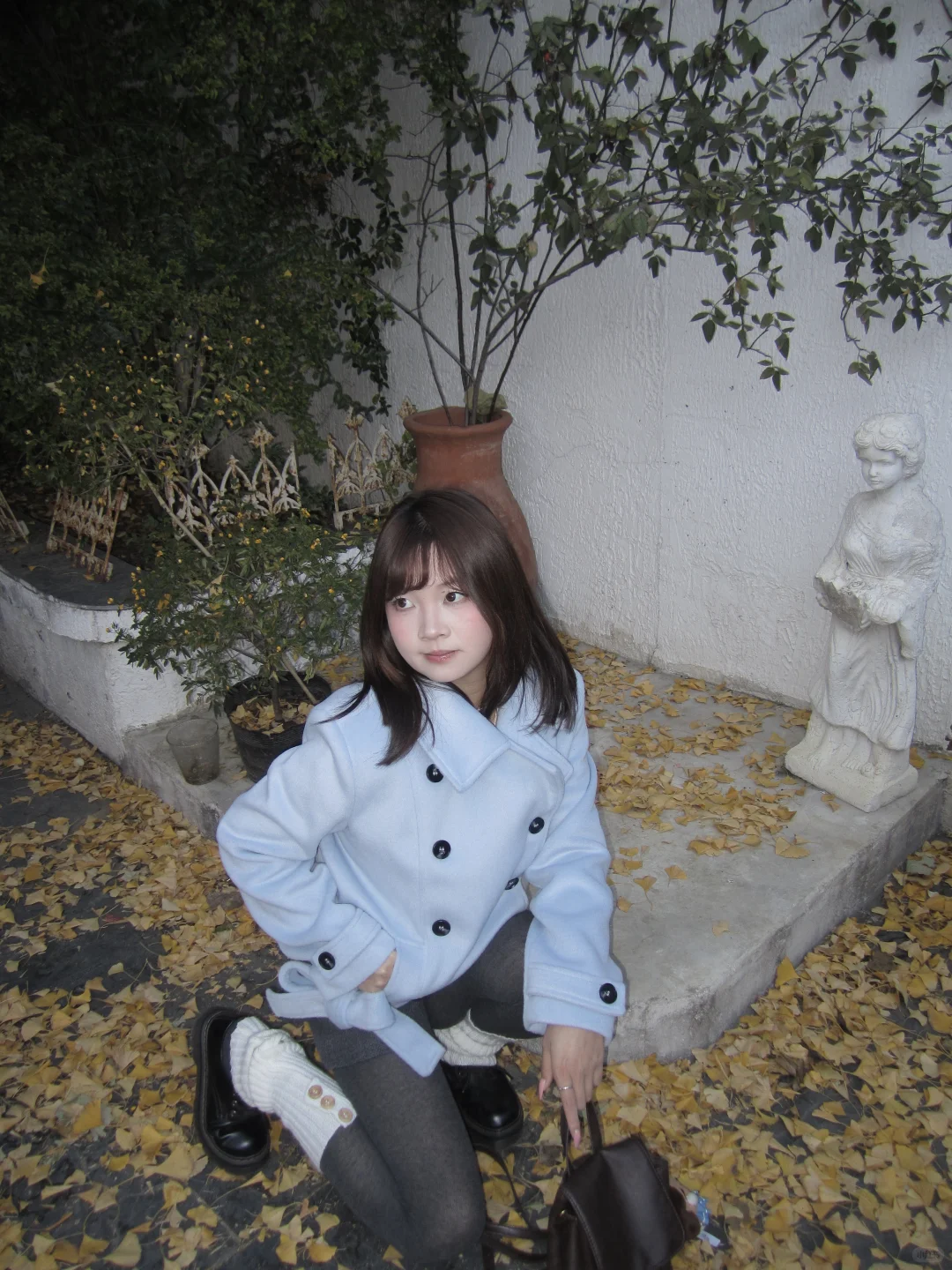 徐州陪拍|和落叶