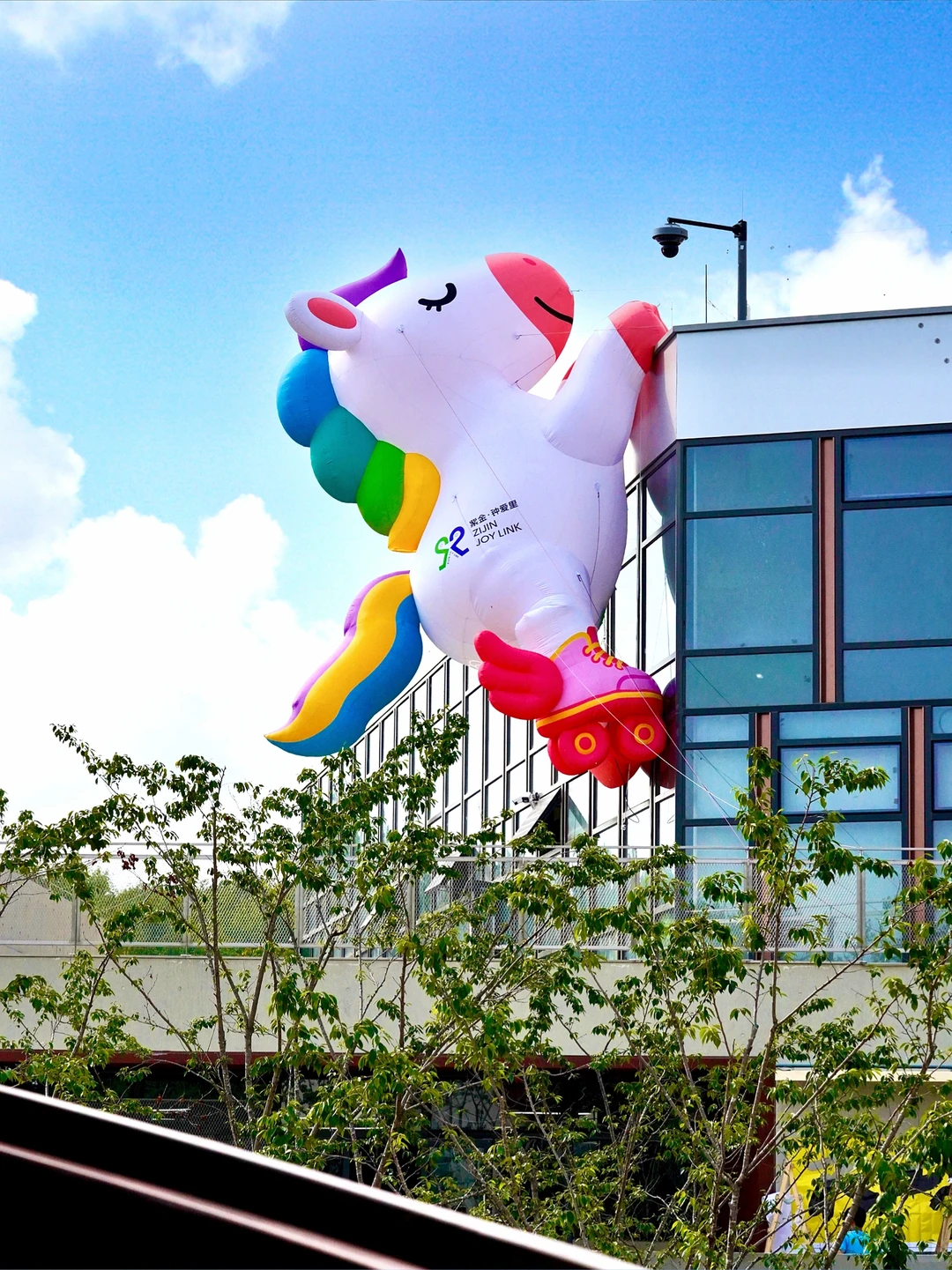 南京｜清晨的梧桐大道真的美疯…