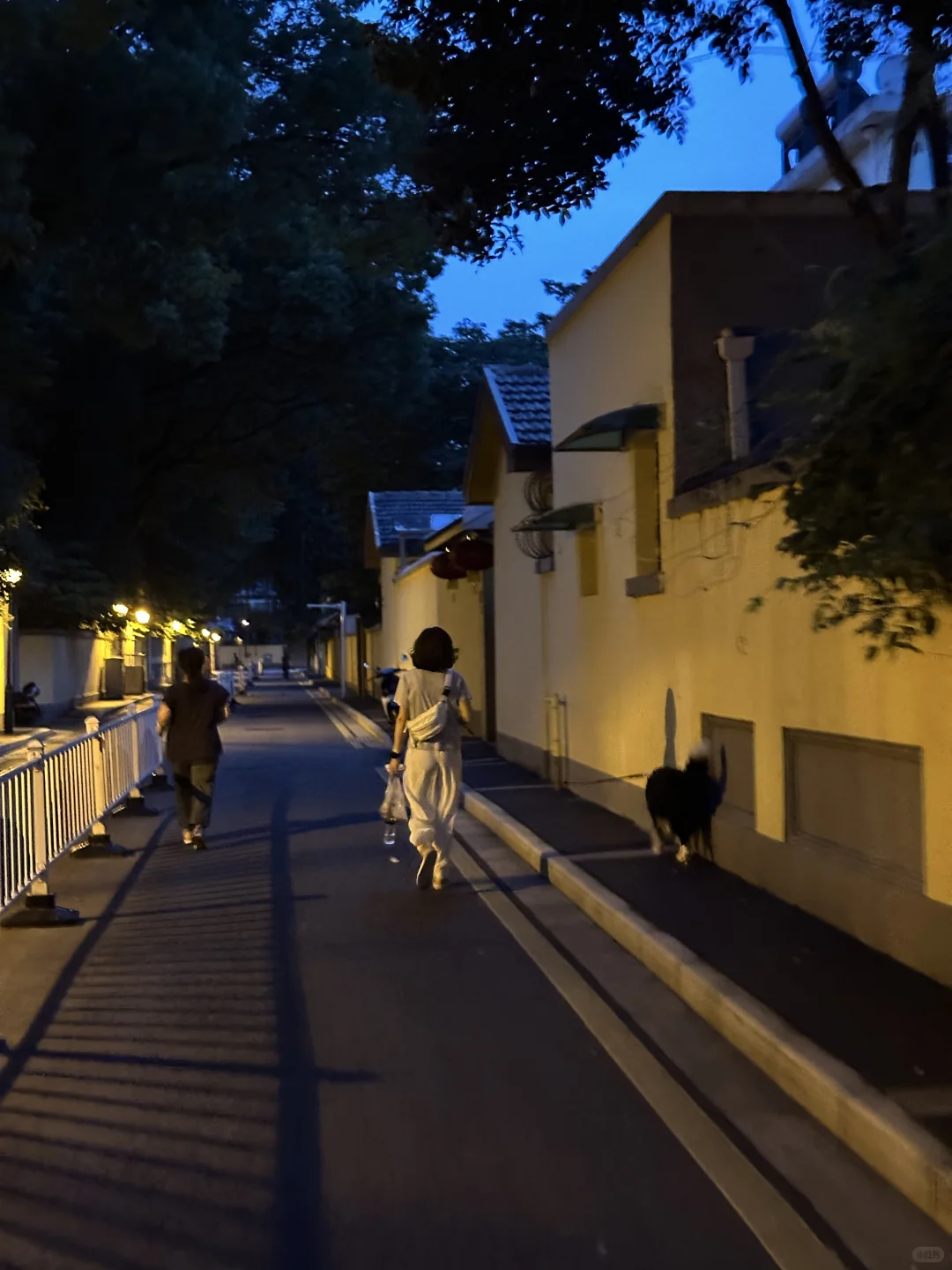 10张南京街道live图素材喜欢的宝宝免费拿