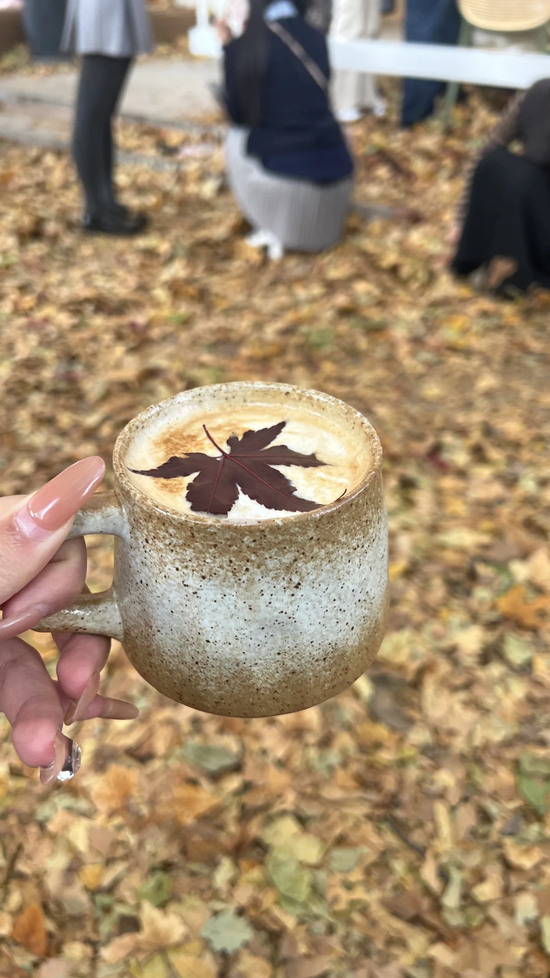 有没有徐州的配拍呀