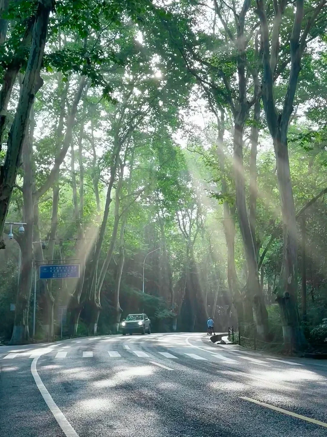 南京已回（已被宰）内容很脏，但真实…