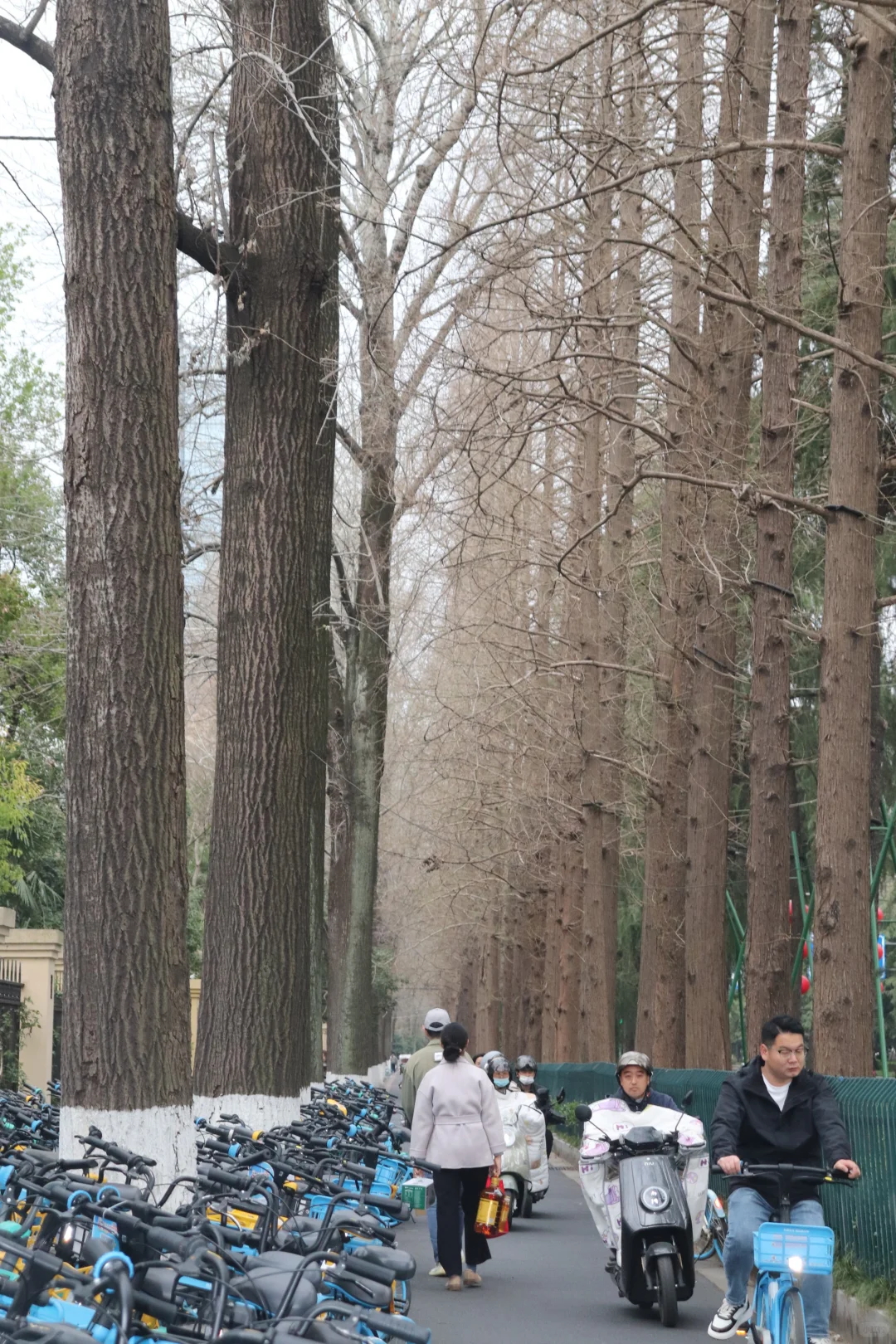 南京:一个对行人极度不友好的城市