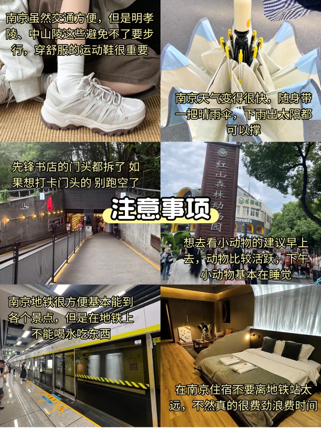 11-12月来南京的！存下吧chao全的！