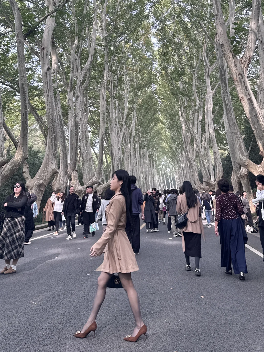 南京梧桐大道 人真美