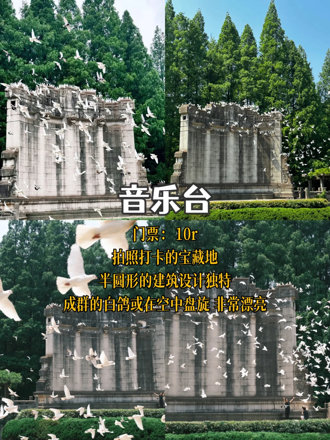 南京📍3天2夜 必去景点经典citywalk路线🏝️