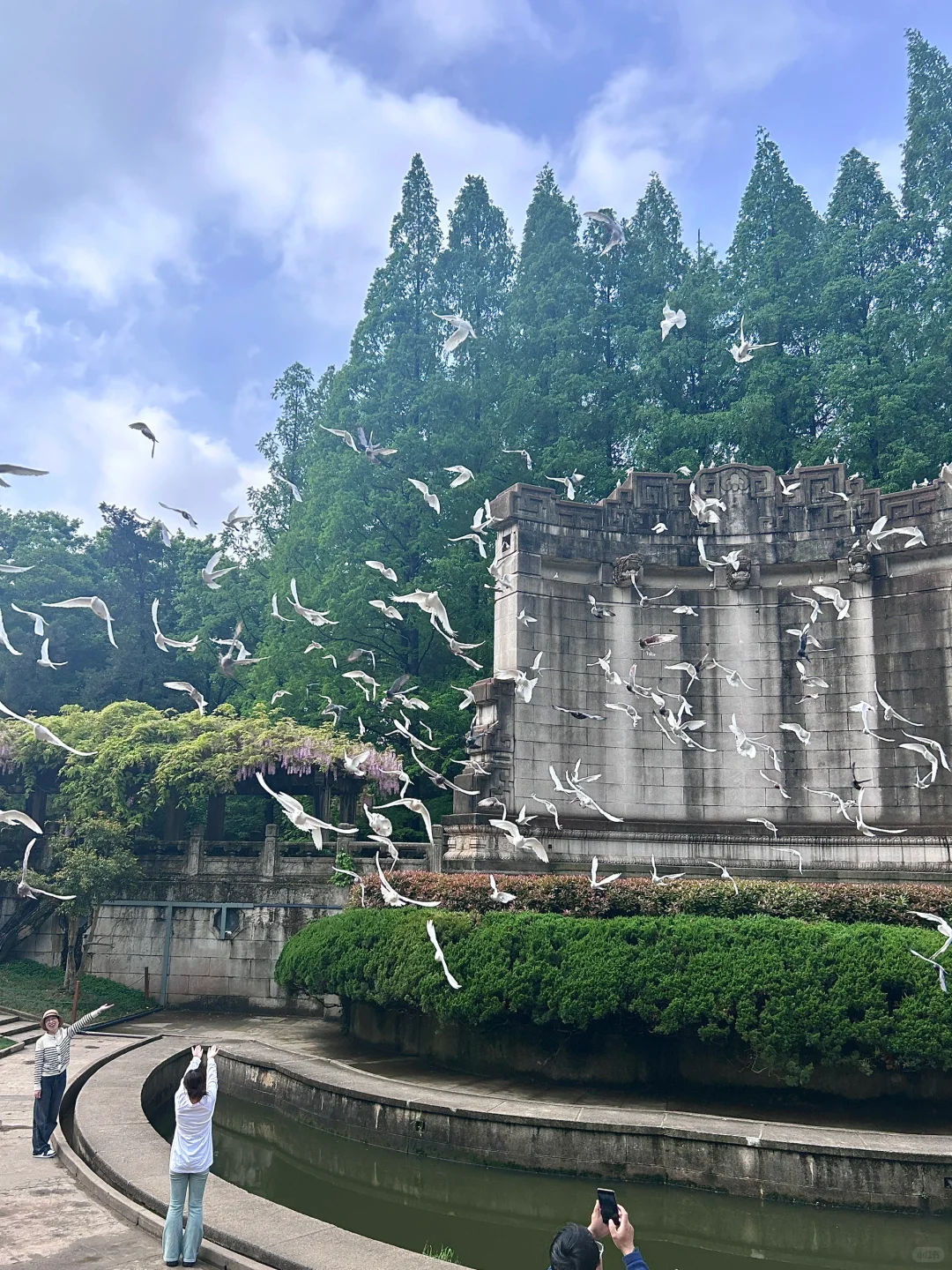 南京音乐台live图