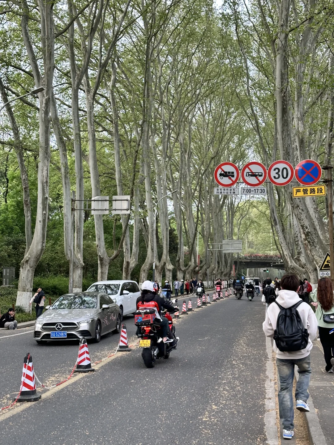 10张南京街道live图素材喜欢的宝宝免费拿