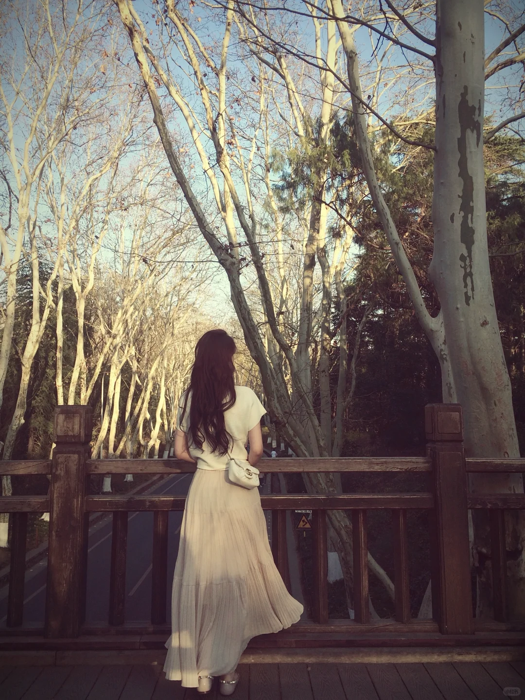 古早｜那是她们相爱过的南京🍂