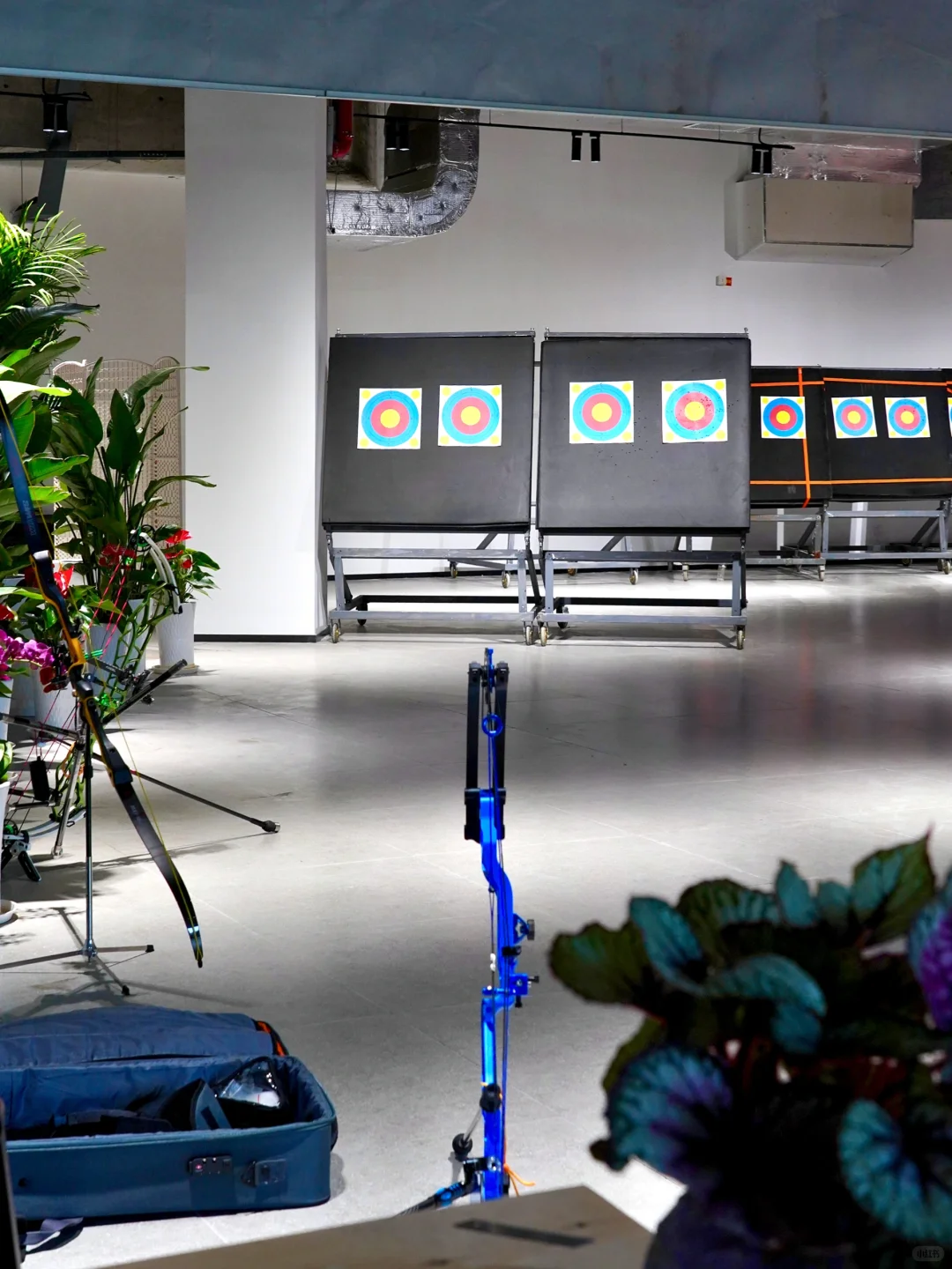 南京｜清晨的梧桐大道真的美疯…