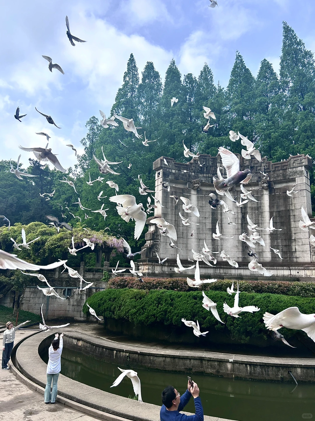 南京音乐台live图