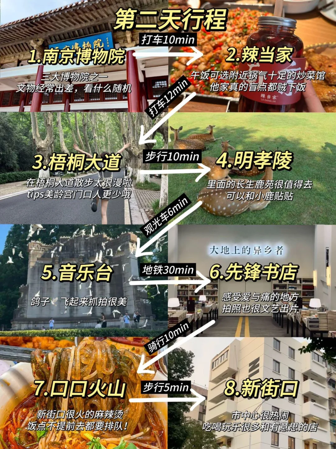 南京已回（已被宰）内容很脏，但真实…