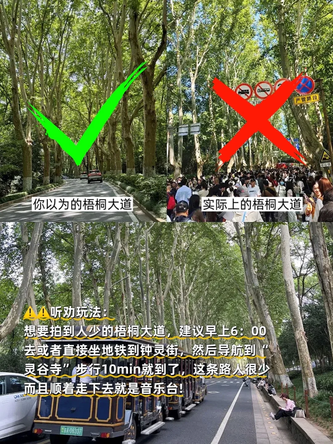 你以为的南京vs实际上的南京，没来的听劝！！