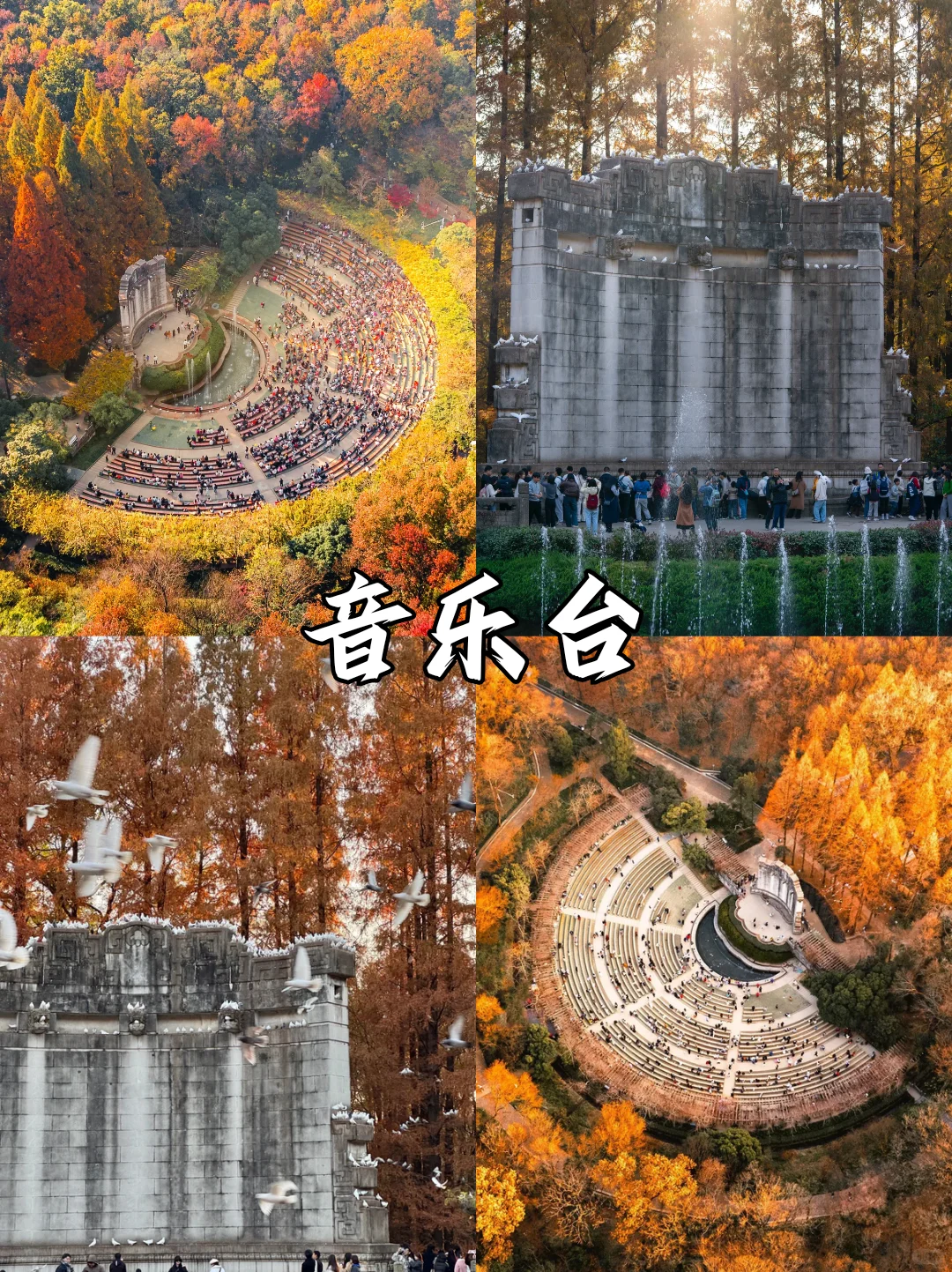 深秋限定❗南京9⃣大绝美赏秋地来袭🍂