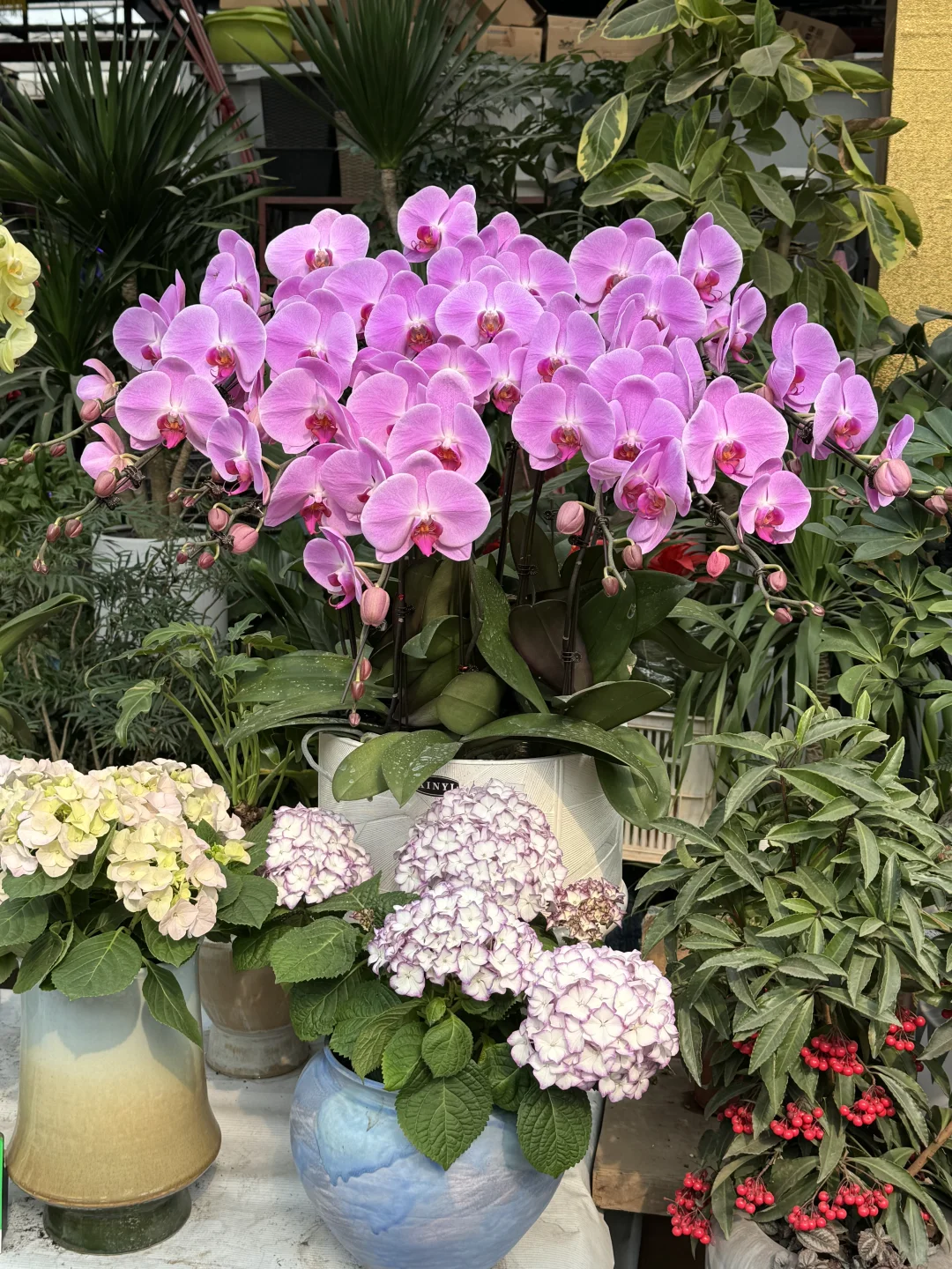 徐州好吃，下次还来！