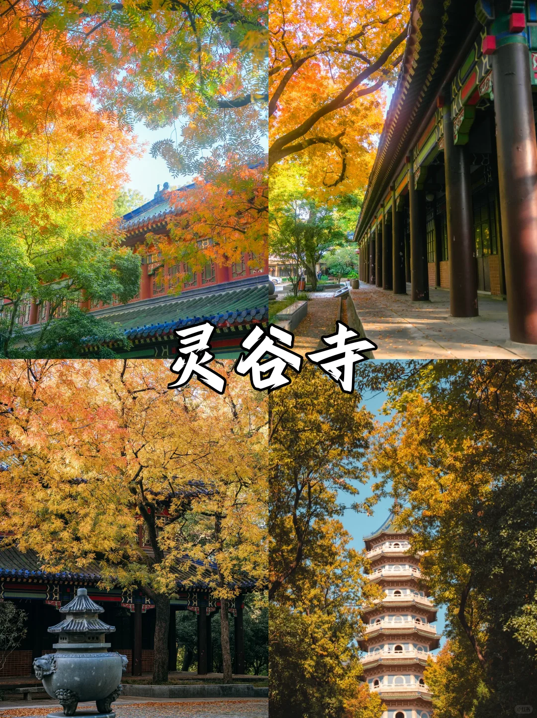 深秋限定❗南京9⃣大绝美赏秋地来袭🍂