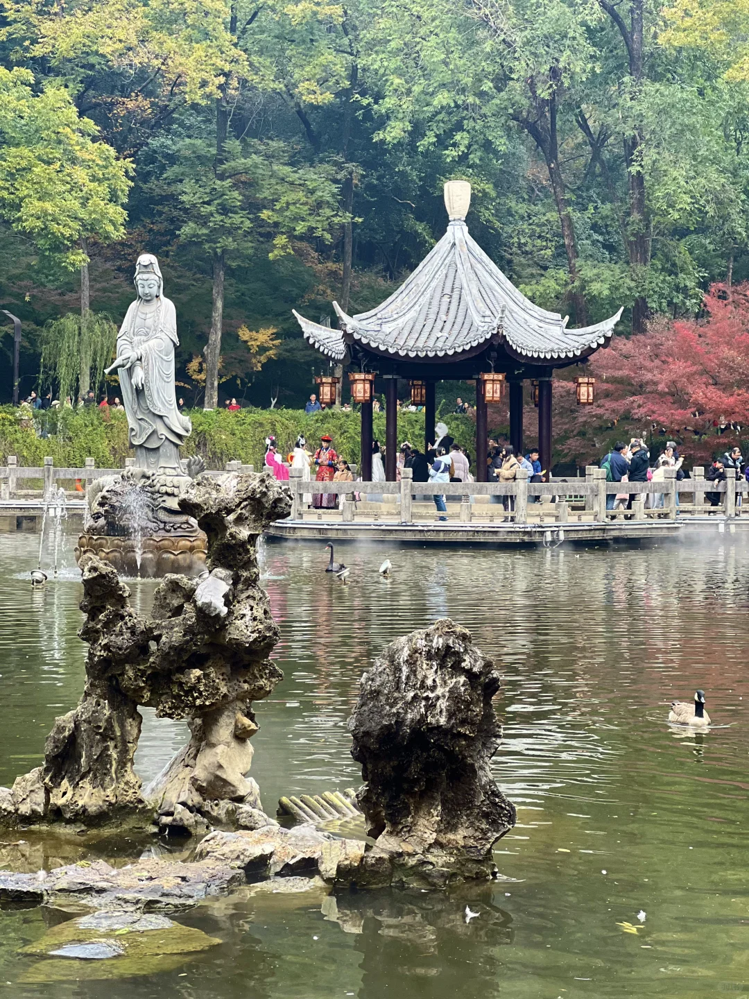 2025.11.23｜栖霞山红枫现状🍁含游玩攻略！