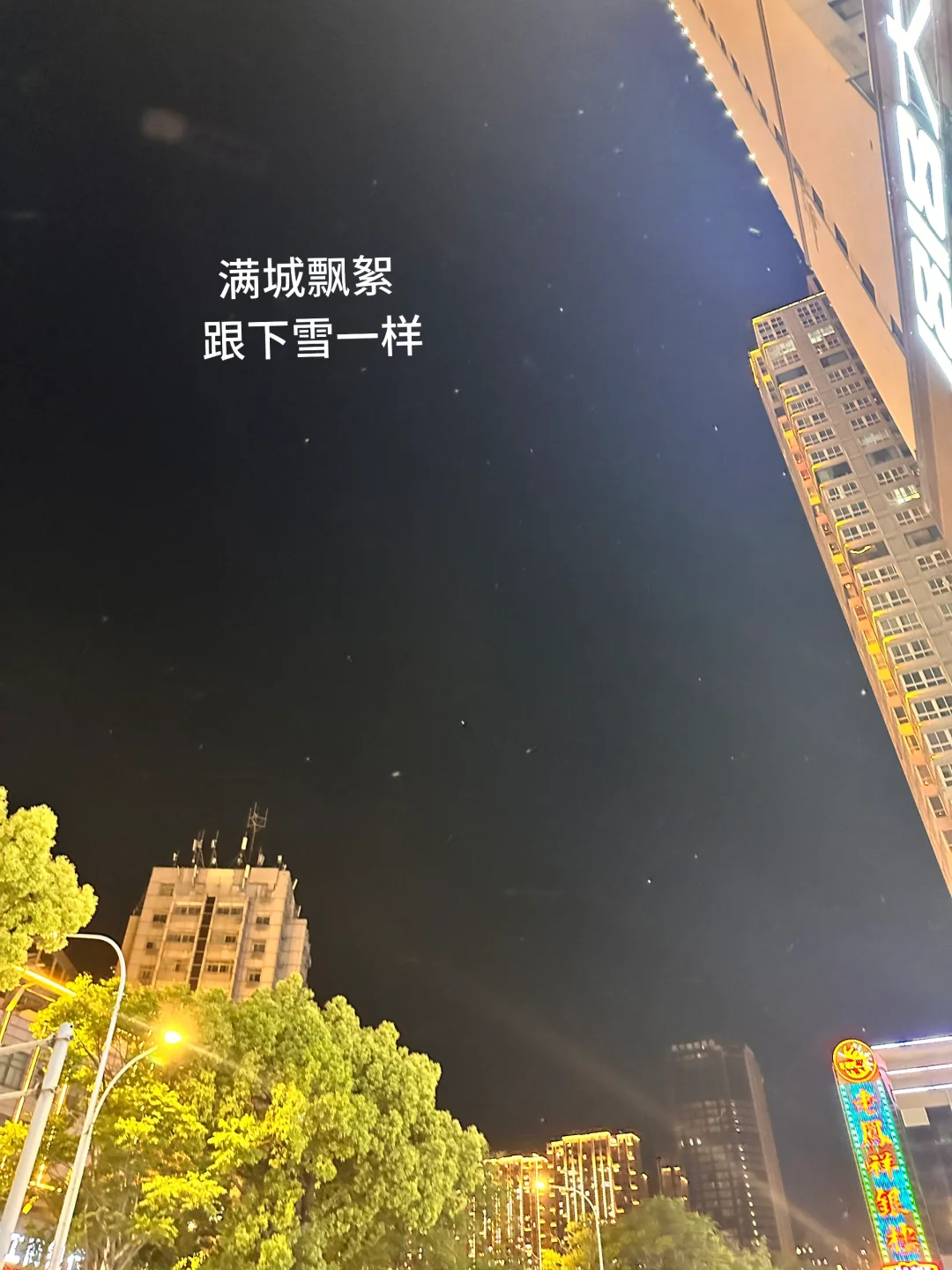 最近要来徐州的 求真的要慎重！！！