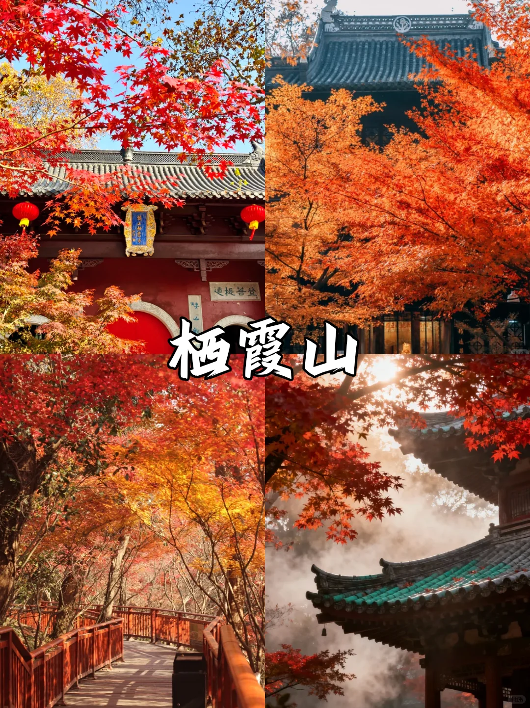 深秋限定❗南京9⃣大绝美赏秋地来袭🍂