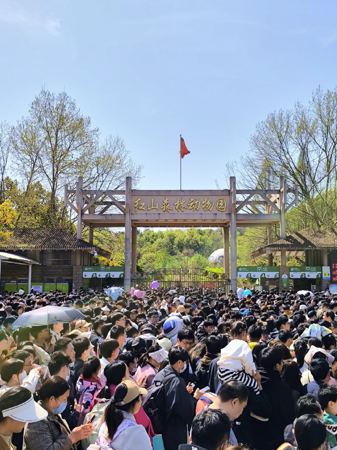 💥免费7天！南京红山动物园又要挤爆啦！