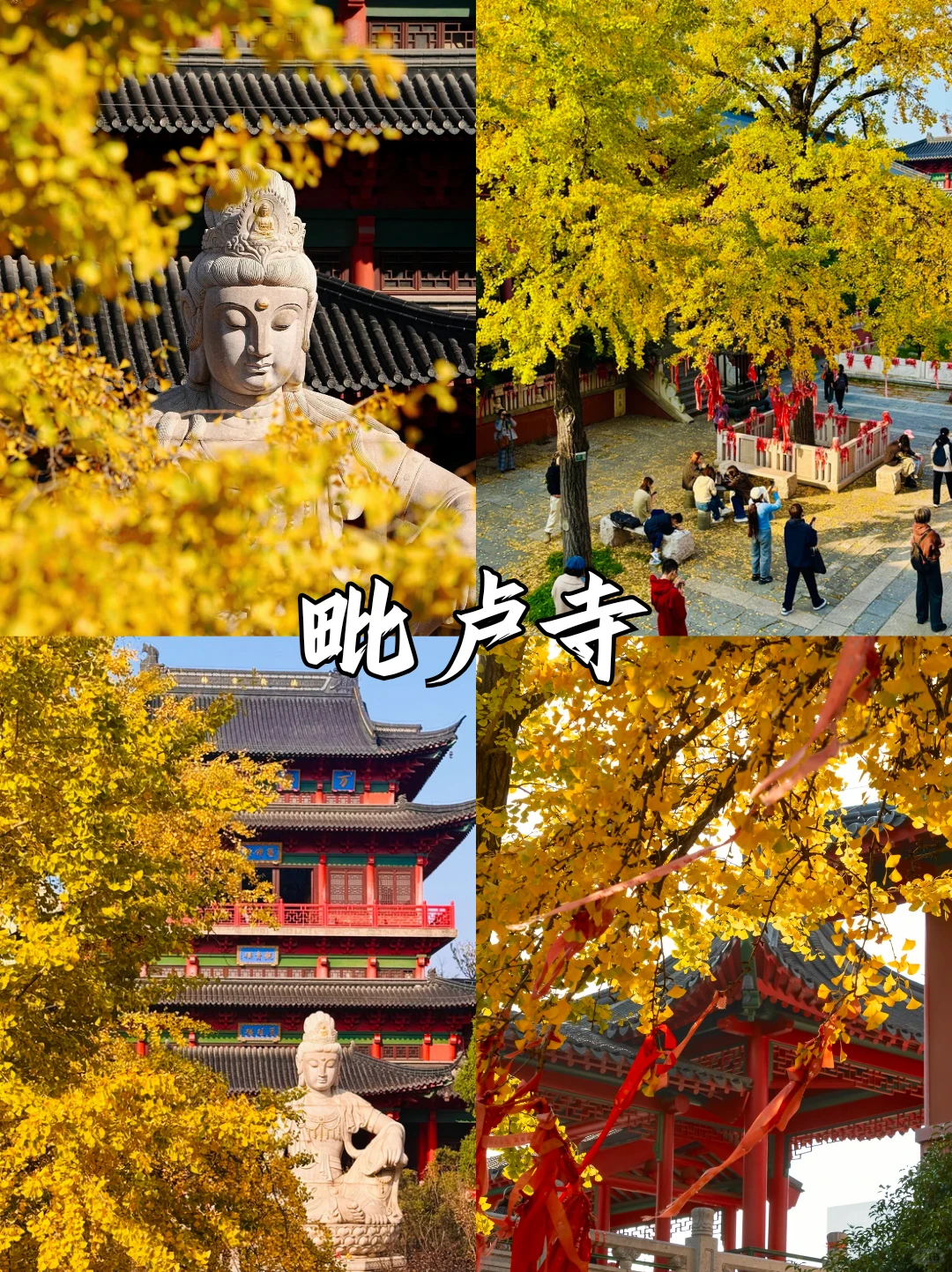 深秋限定❗南京9⃣大绝美赏秋地来袭🍂