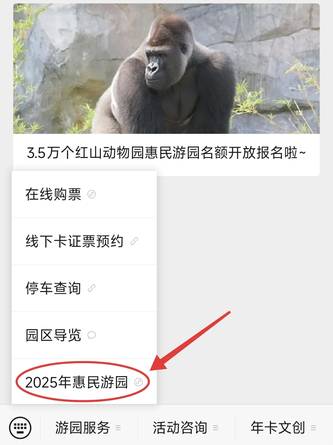 💥免费7天！南京红山动物园又要挤爆啦！