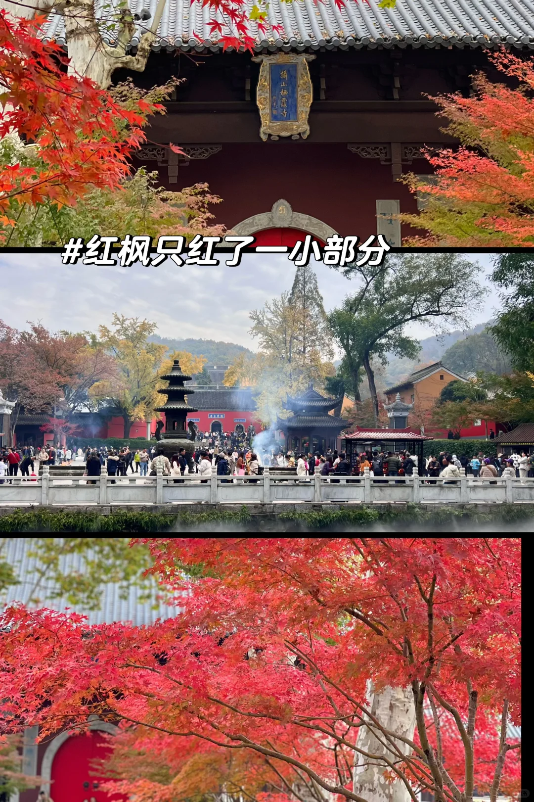 2025.11.23｜栖霞山红枫现状🍁含游玩攻略！