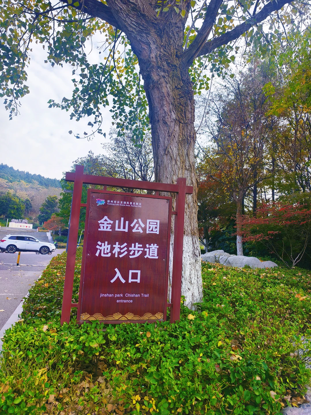 错过等一年!水杉林是限定版秋天的童话