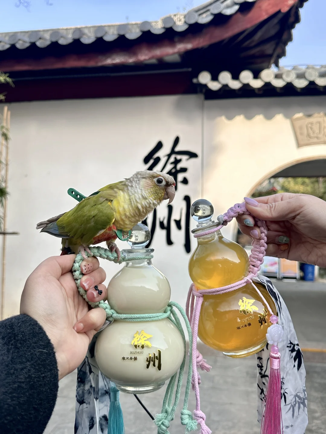 又在徐州见世面了。。。