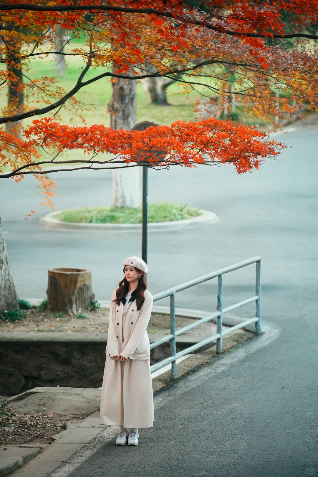 植物园枫叶｜秋日取景框