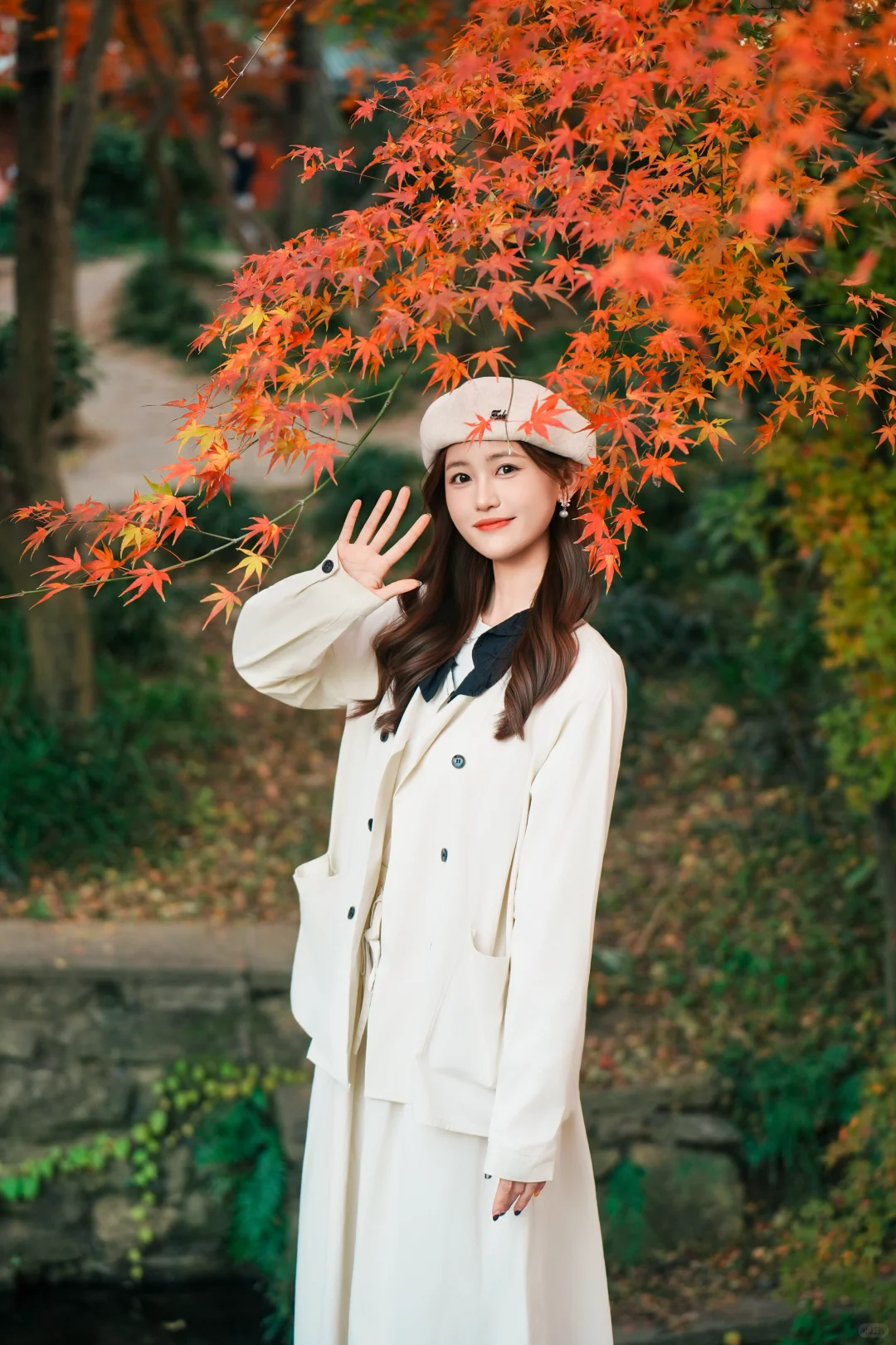 植物园枫叶｜秋日取景框