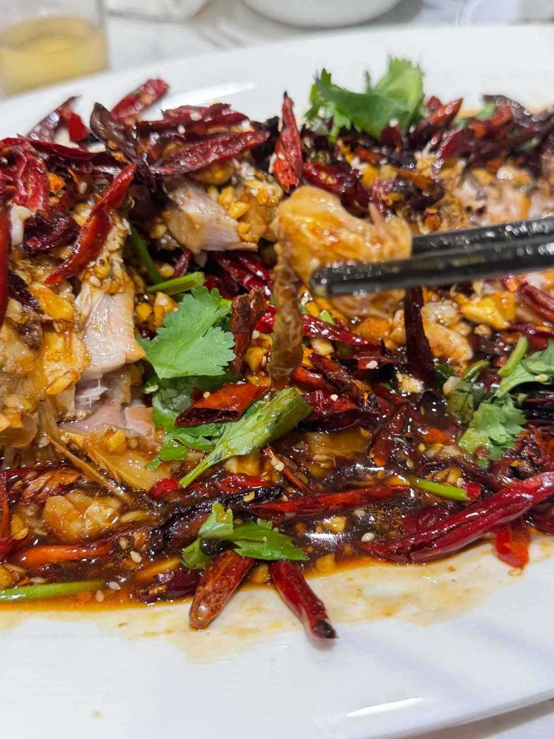 徐州｜真心不建议来！！！