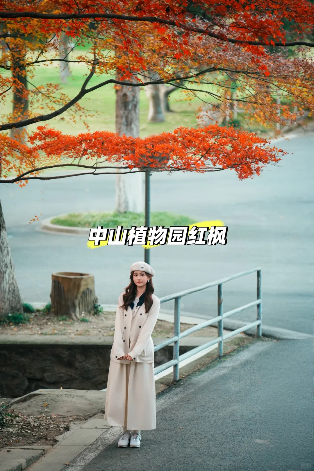 植物园枫叶｜秋日取景框