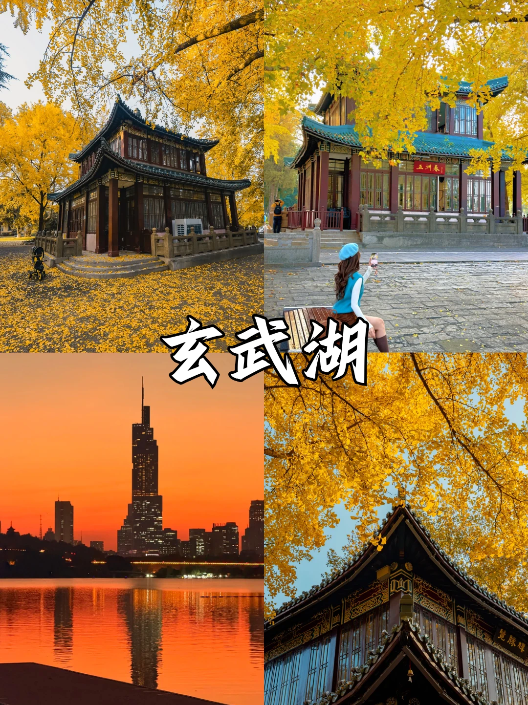 深秋限定❗南京9⃣大绝美赏秋地来袭🍂