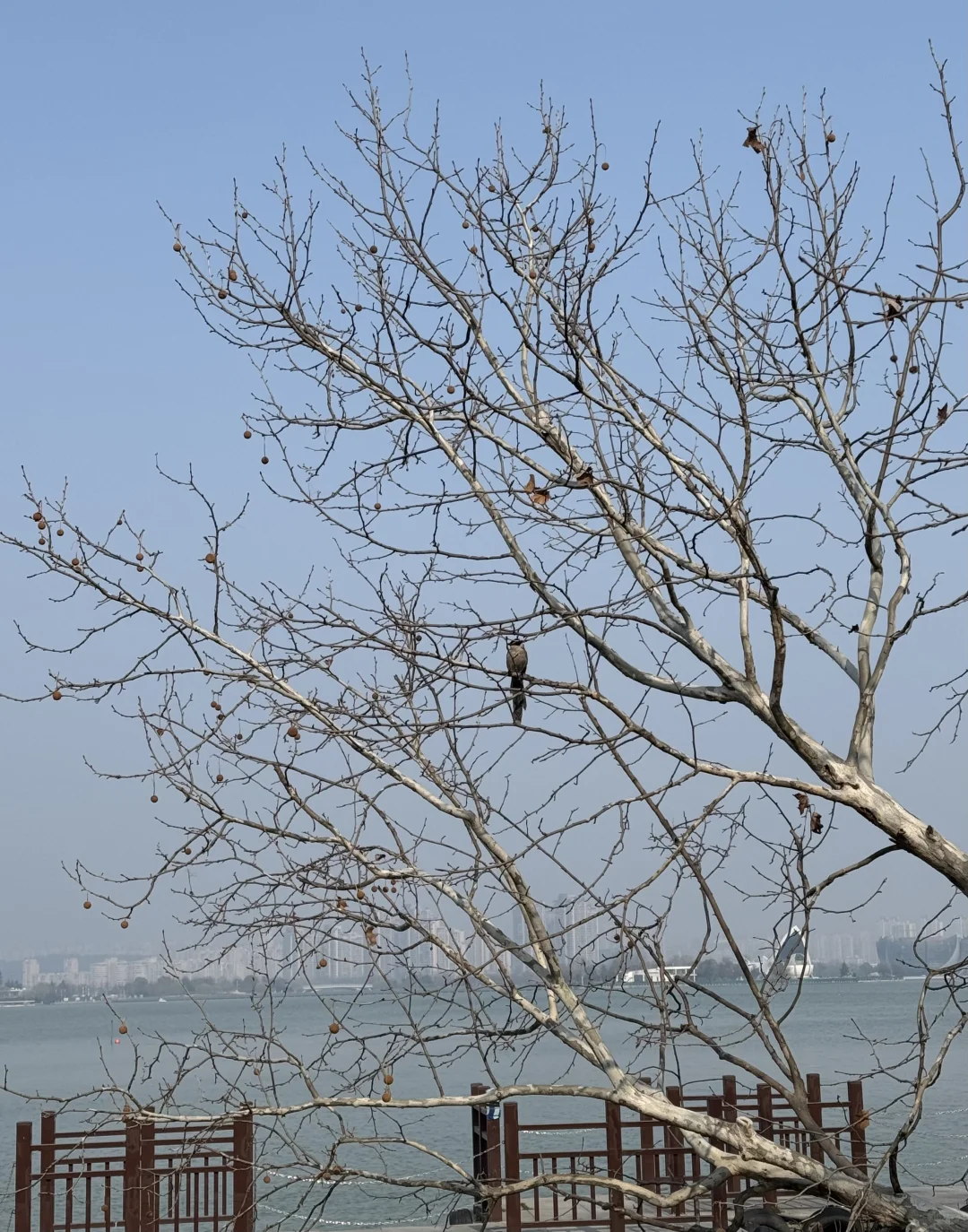 徐州朋友圈文案