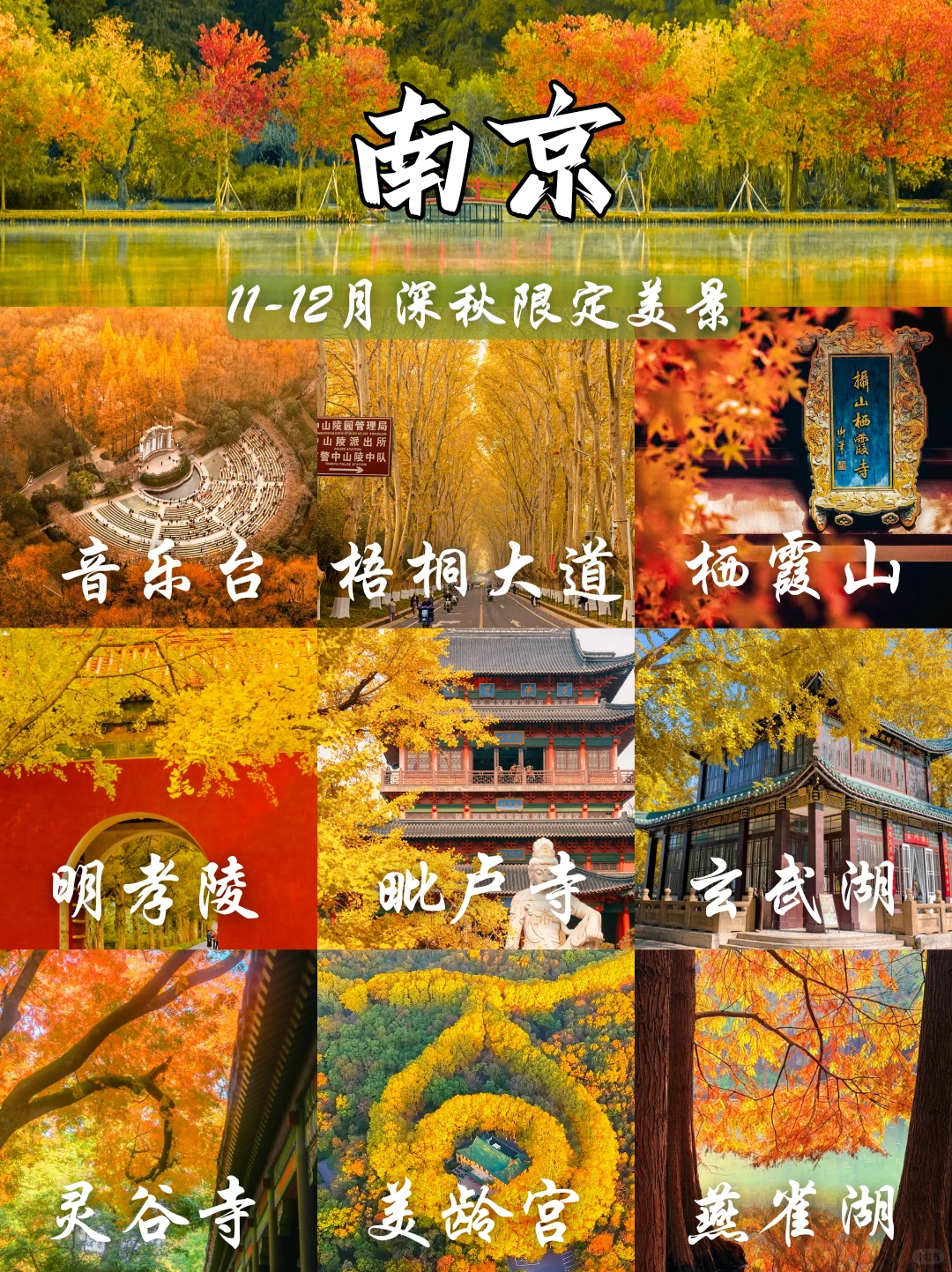 深秋限定❗南京9⃣大绝美赏秋地来袭🍂