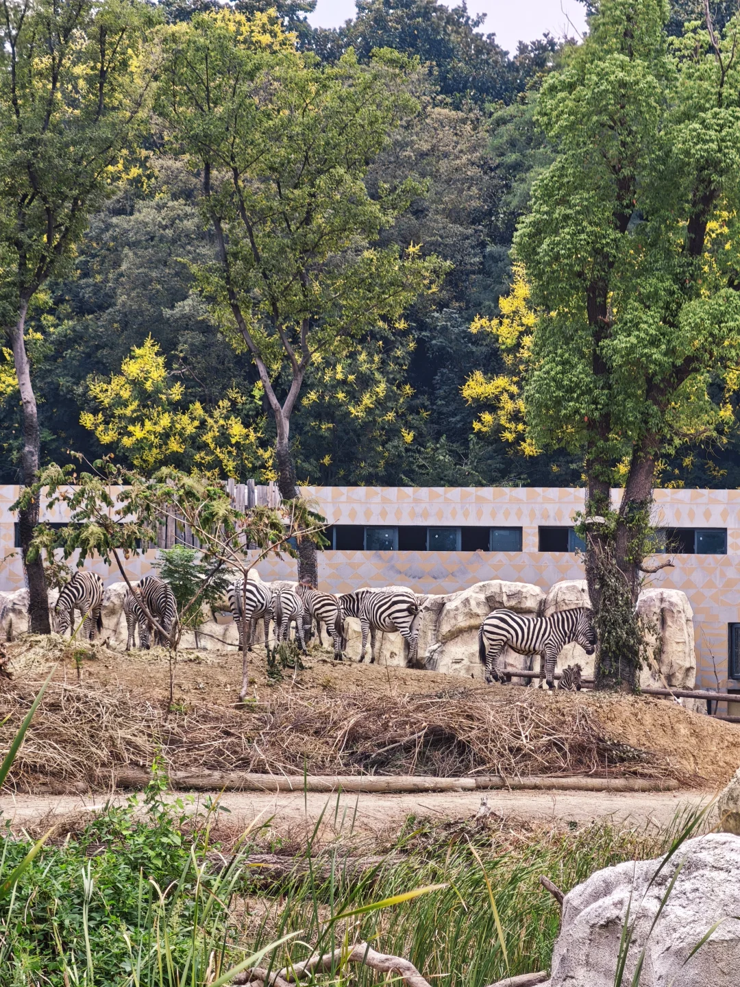 💥免费7天！南京红山动物园又要挤爆啦！