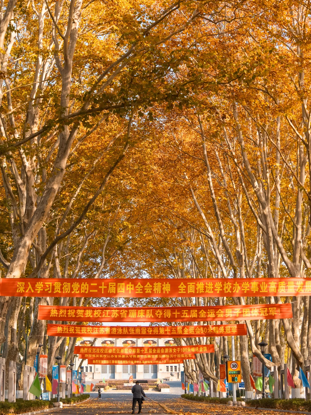 11.24实拍！！秋天的梧桐大道直接封神！！！！