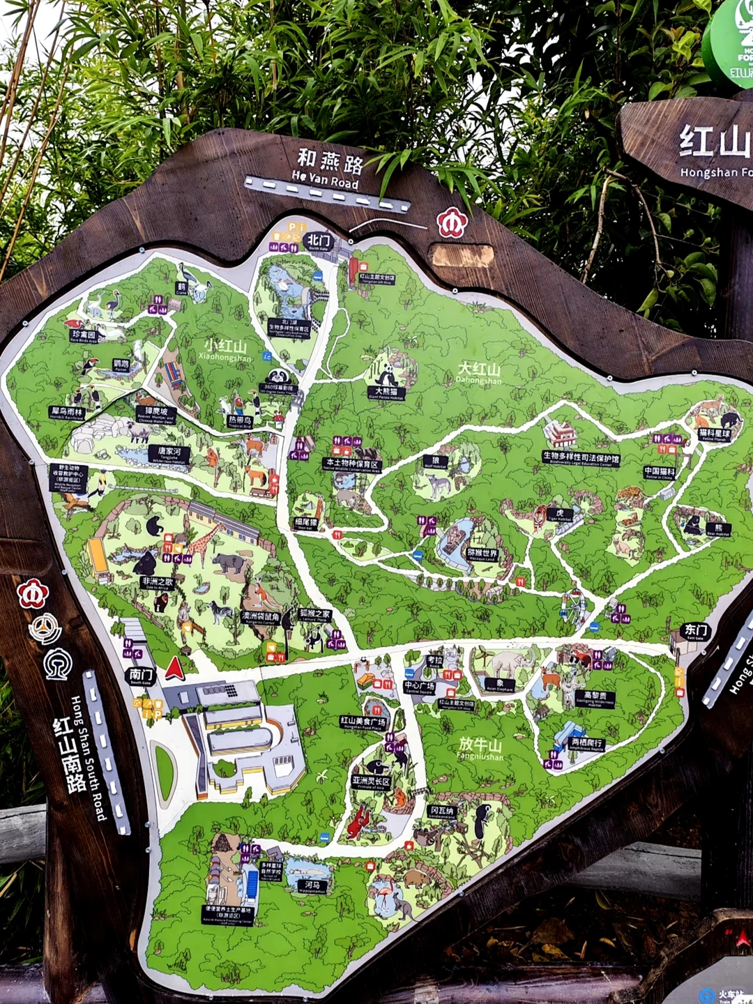 💥免费7天！南京红山动物园又要挤爆啦！