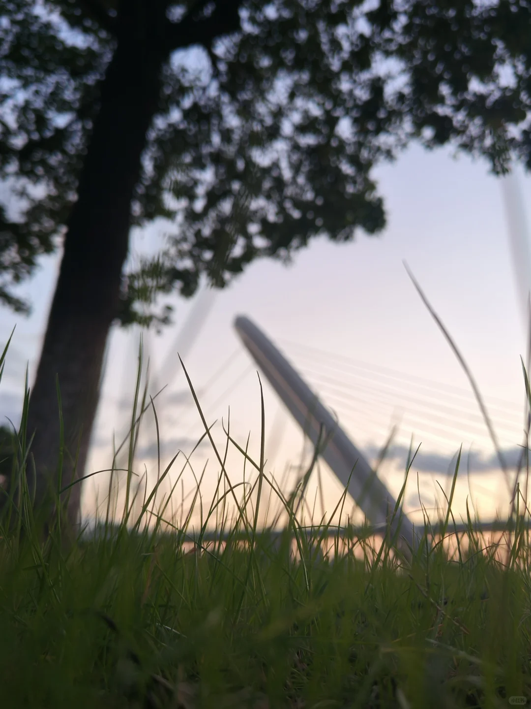 对方邀你云游南京眼