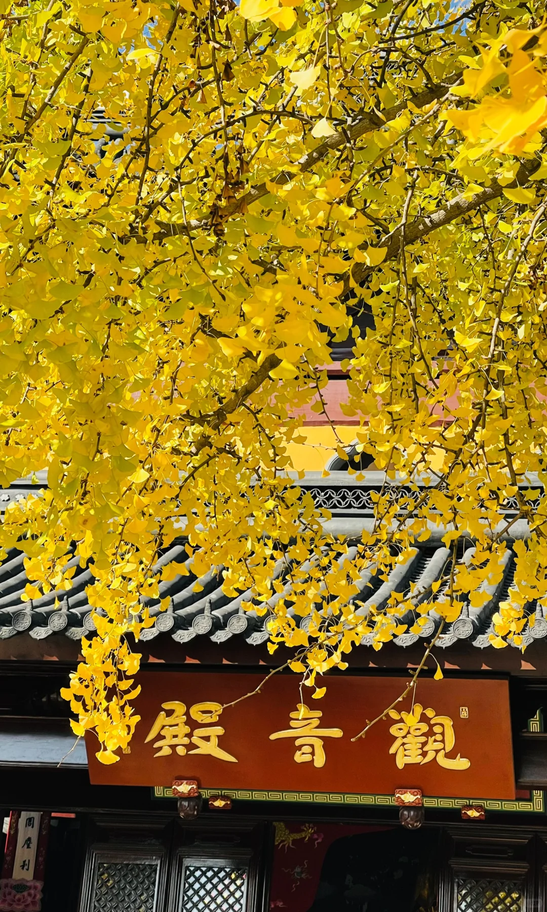 18张live图🍁告诉你苏州秋天有多美！！