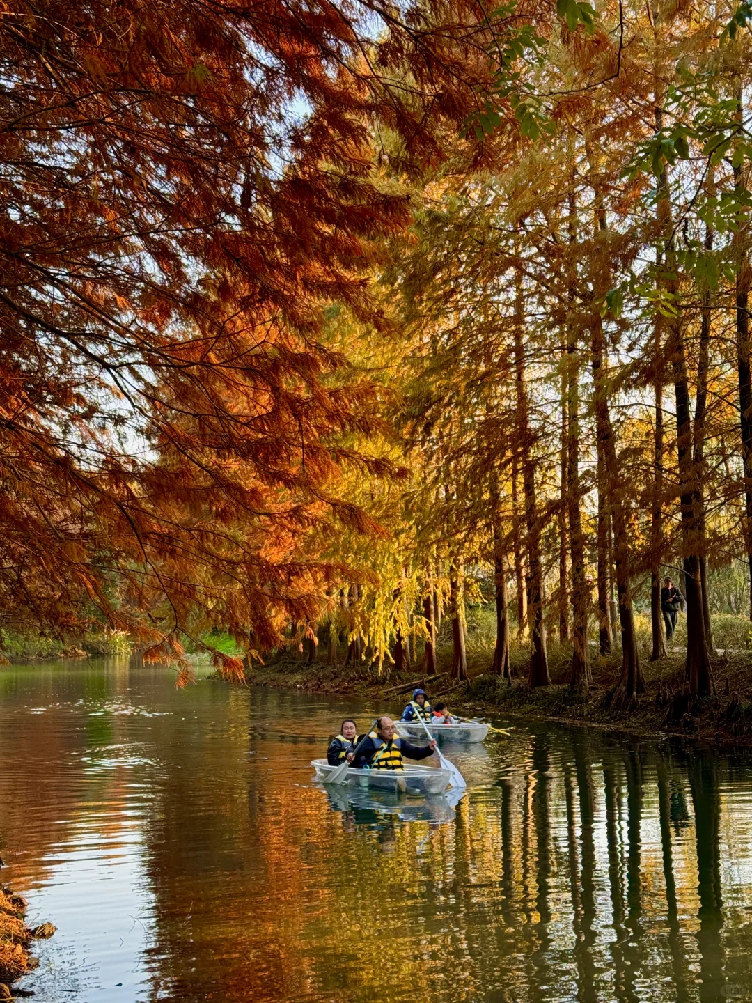 已经开始期待苏州的秋天了！！