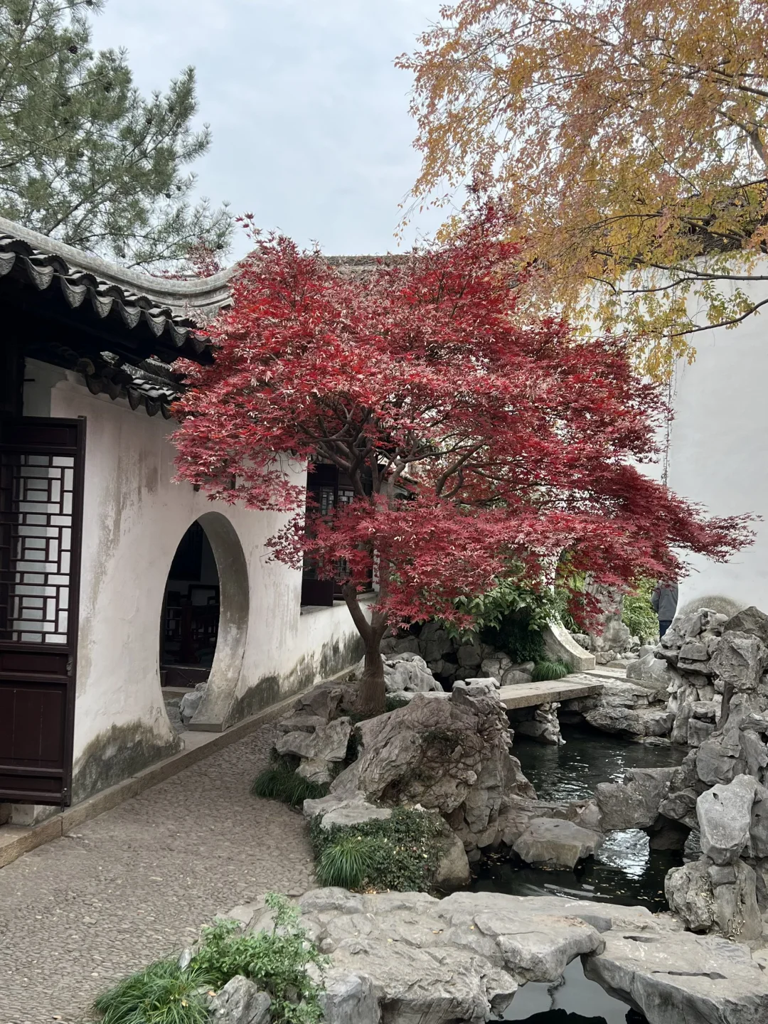 上有天堂、下有蘇杭🌷🌱🌸🍃🍁💐